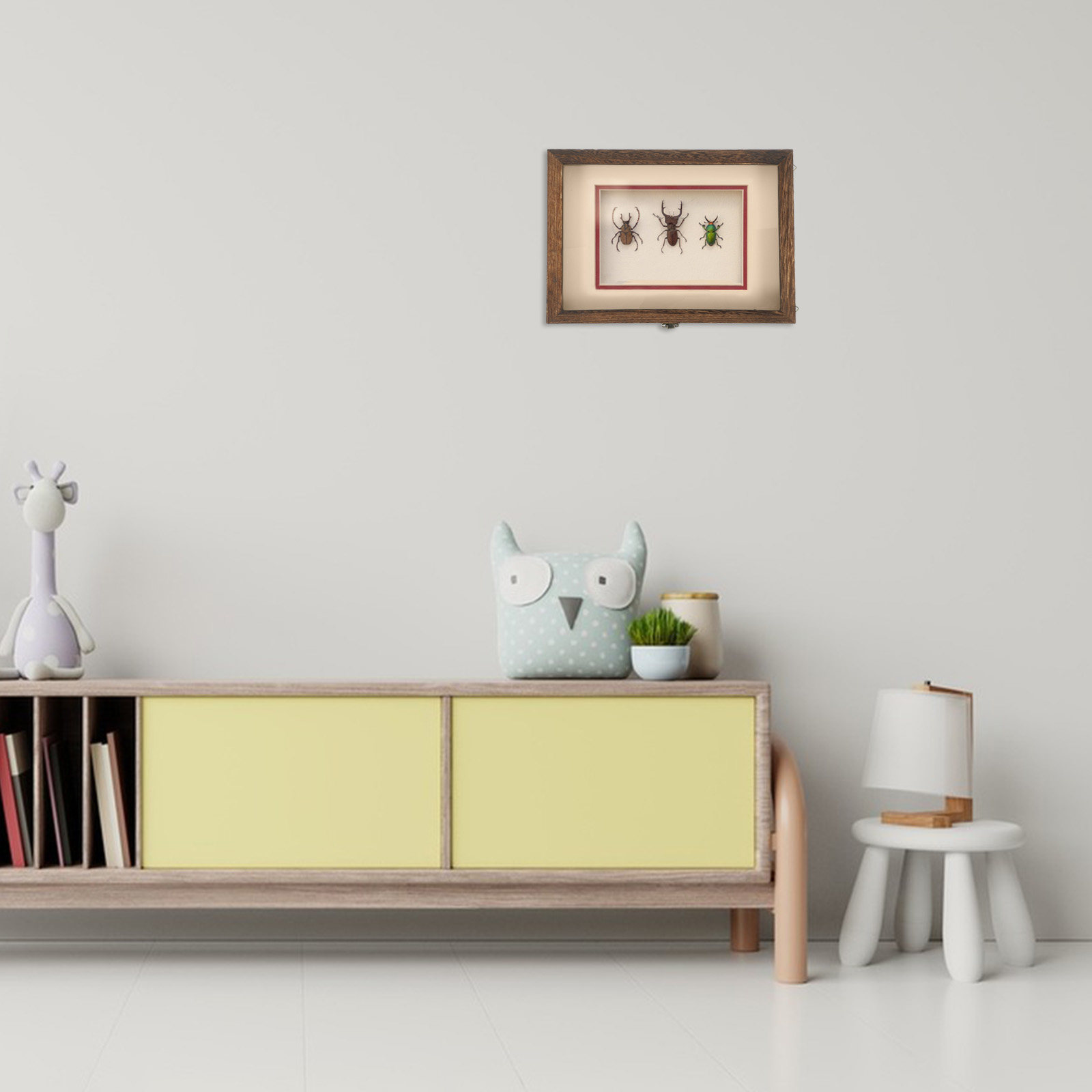 Frame Display Wood - 1Set Retro Wood Insect Display Case