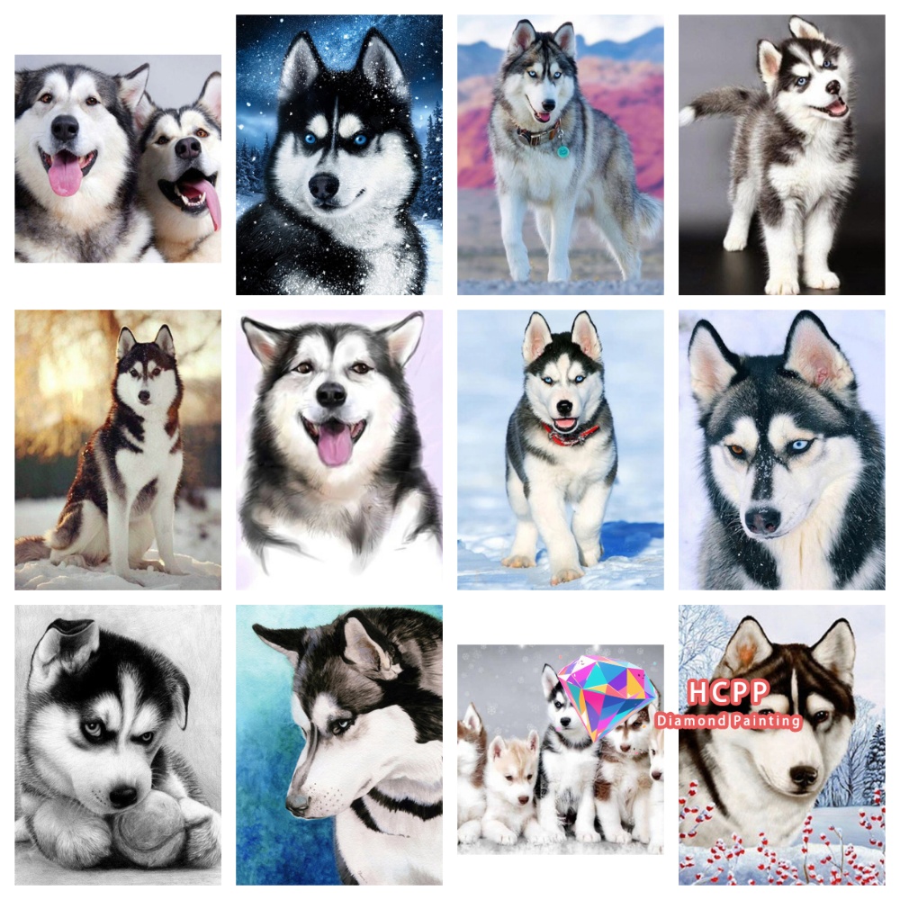 Embroidery Icon - Animal Husky Picture Diamond Painting Kit