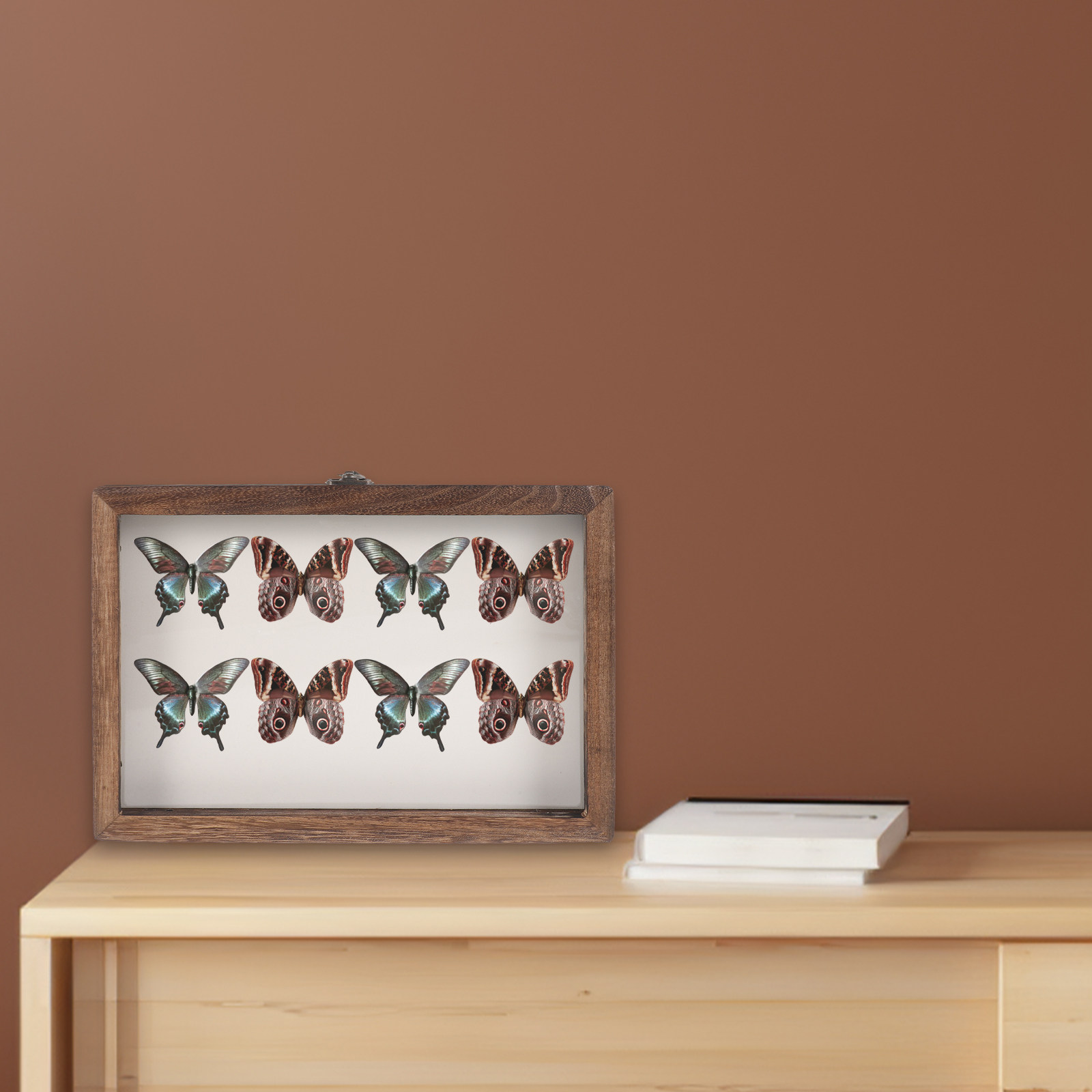 1Set Retro Wood Insect Display - đánh giá và giá Frame Display Wood