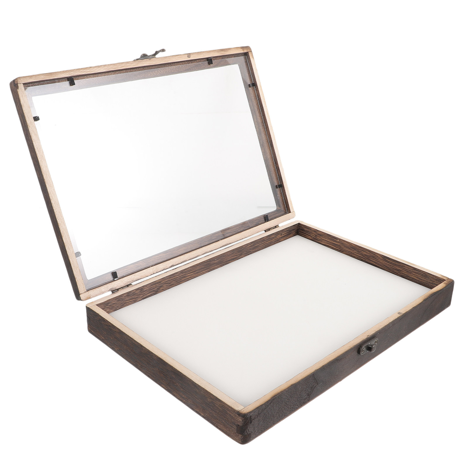 1Set Retro Wood Insect Display - đánh giá và giá Frame Display Wood